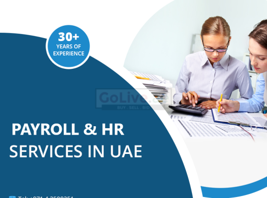 Hire A Payroll Service in UAE