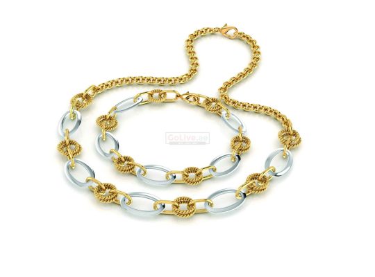 Gold/Silver Link Necklace and Bracelet Set