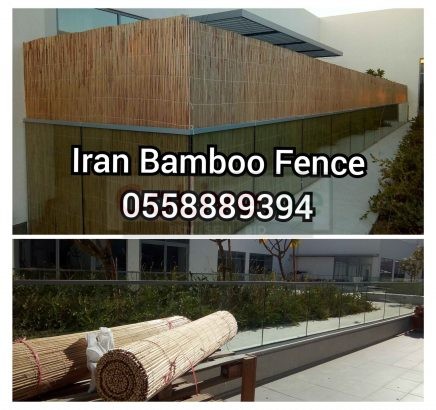 Iranin Bamboo Fence – O558889394