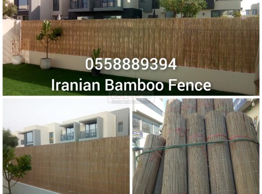 Iranian Bamboo Fence-0553862762