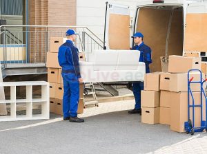 Professional movers and Packers in Dubai south 0502535877