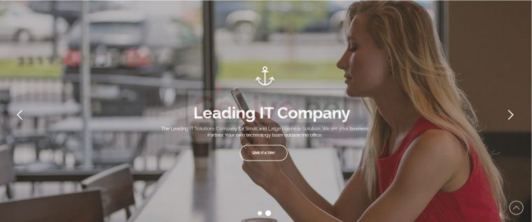 website, mobile apps development, software development or any other IT services