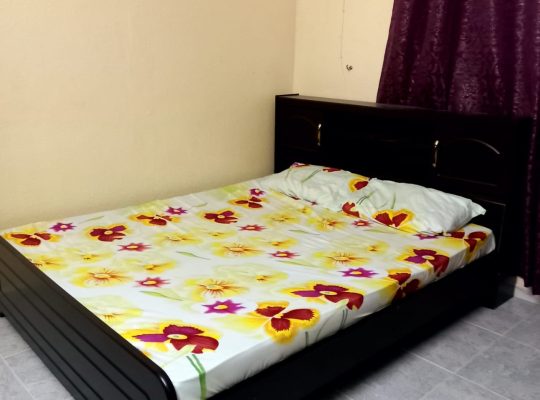 Queen size coat with medicated mattress and in-built storage