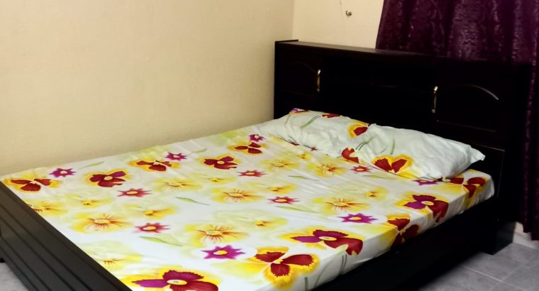 Queen size coat with medicated mattress and in-built storage