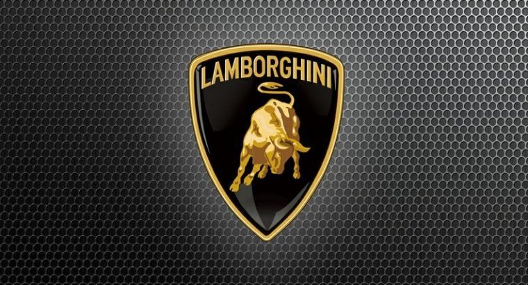 Lamborghini used parts Tr ( sharjah Parts Market )
