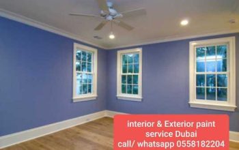 paint services in low cost