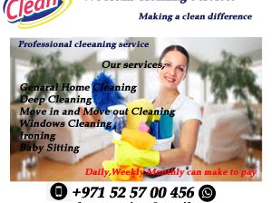 WeClean Cleaning Services