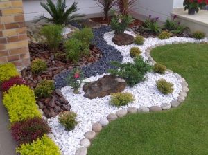 GARDEN PLANTS AND LANDSCAPING