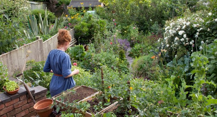 Garden Care Services