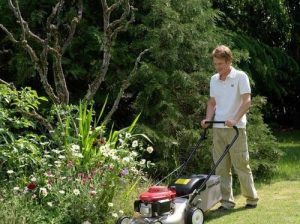 DUBAI GARDENING AND LANDSCAPING CONTRACTOR