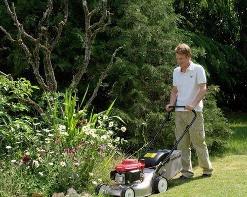 DUBAI GARDENING AND LANDSCAPING CONTRACTOR