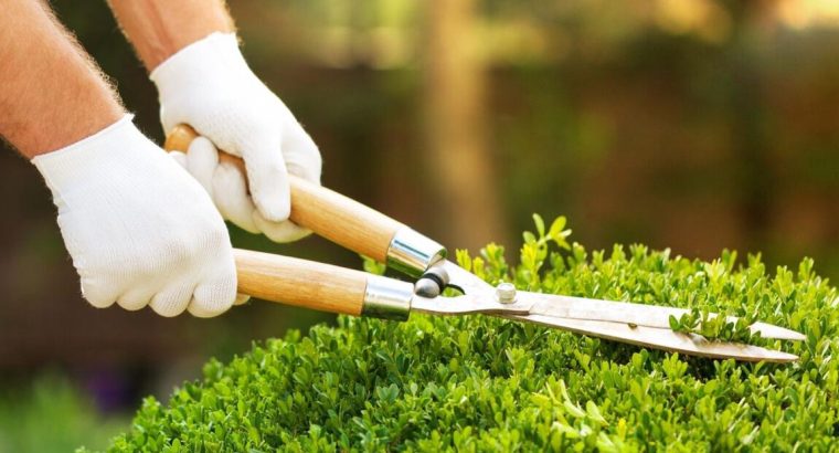 LANDSCAPING AND GARDEN CARE SERVICES IN UAE