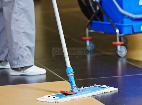 cleaning maid available