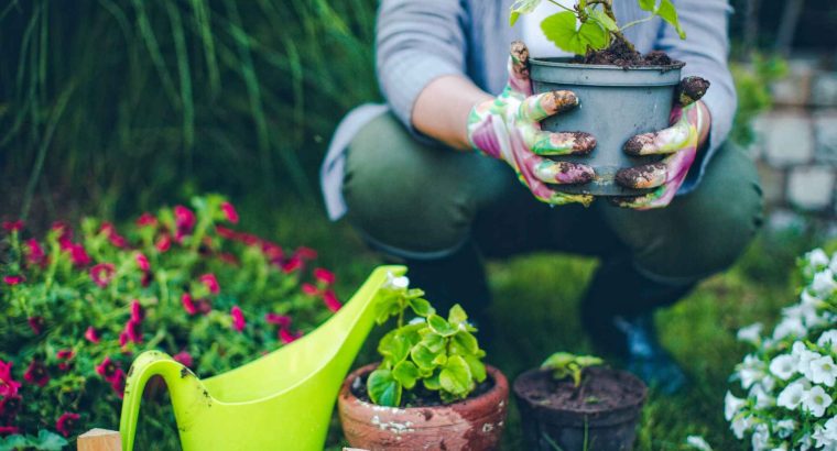 Gardening/pool maintenance