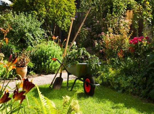 JAMSHAID GARDEN LANDSCAPING L L C.