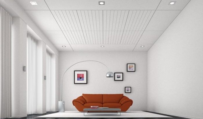 Professional Gypsum Ceiling and Gypsum Partition works