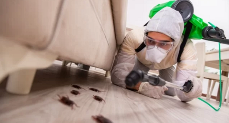Looking for affordable Pest control ??