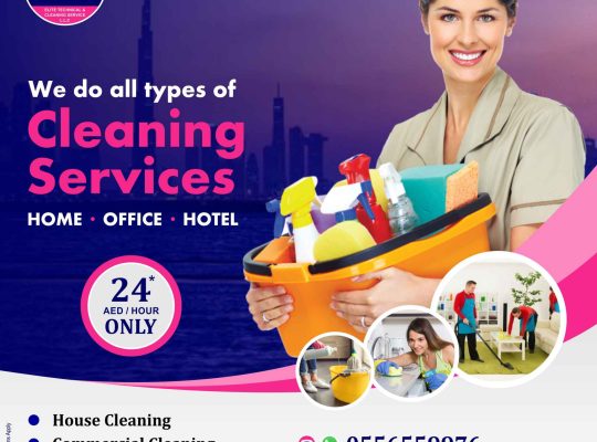 Housemaids Cleaners Available