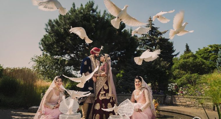 WEDDING/BIRTHDAY/DRONE/PHOTO/VIDEO