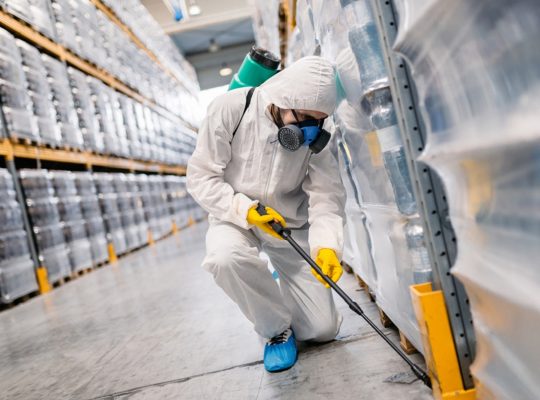 EXPERT PEST CONTROL SERVICE AJMAN