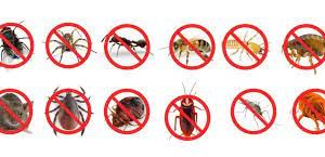 PEST CONTROL SERVICE WITH GUARANTEED RESULTS