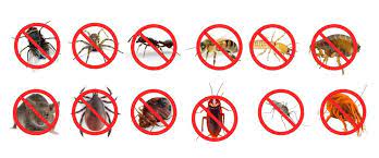 PEST CONTROL SERVICE WITH GUARANTEED RESULTS