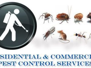 ISO CERTIFIED PEST CONTROL AND DISINFECTION COMPANY