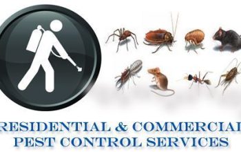 ISO CERTIFIED PEST CONTROL AND DISINFECTION COMPANY