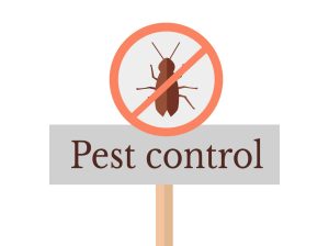 LOW COST PEST CONTROL SERVICES