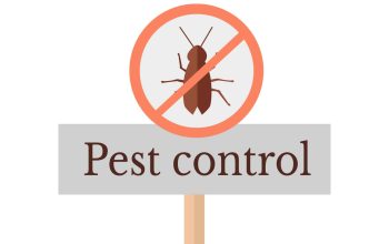 LOW COST PEST CONTROL SERVICES