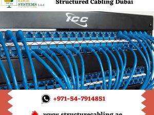 Choose Techno Edge Systems for Structured Cabling in Dubai