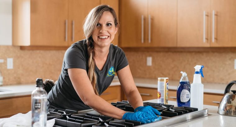 best cleaner and cook at your service