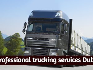 Professional trucking services Dubai