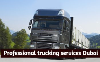 Professional trucking services Dubai