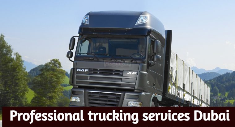 Professional trucking services Dubai