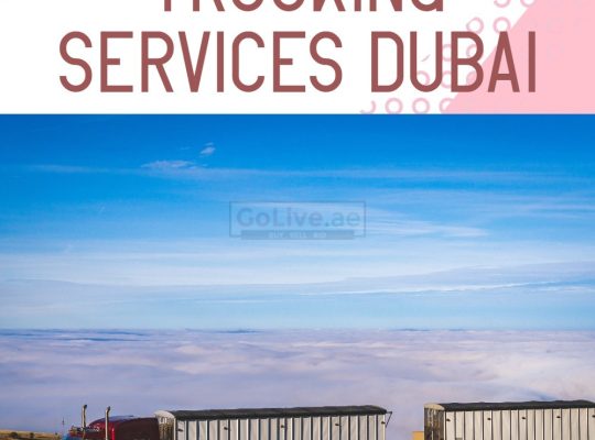 Load carriers trucking services Dubai