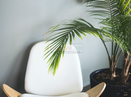 INTERIOR DESIGNER DUBAI