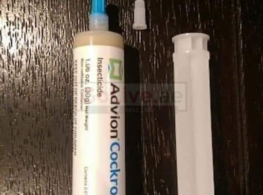 Advion cockroach gel