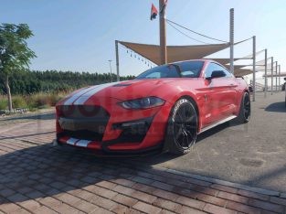 Ford Mustang 2019 for sale