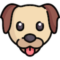 Pets