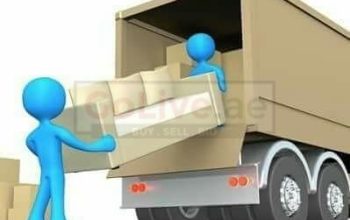 Best Movers and Packers ln Al Sila