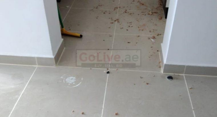 WeClean Home Cleaning Services