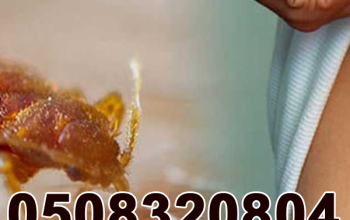Low Cost Pest Control Bugs Control Al Barsha