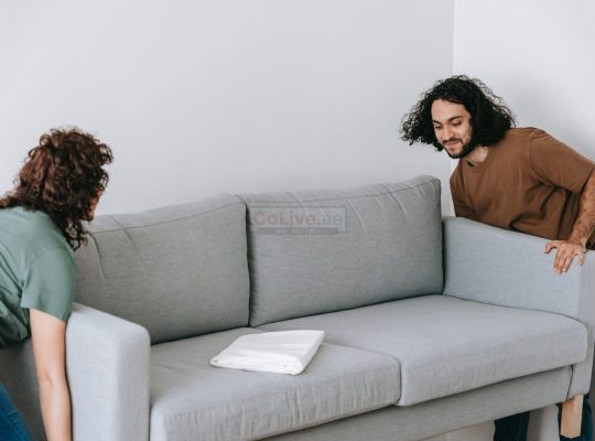 Movers and Packers in International City Dubai