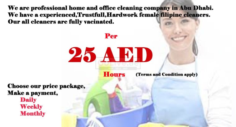 WeClean Home Cleaning Services