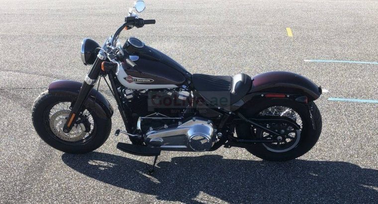2021 Harley Davidson FLSL Softail Slim