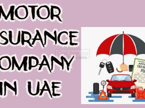Motor Insurance Company in the UAE