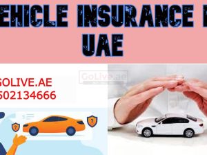 Vehicle Insurance in UAE