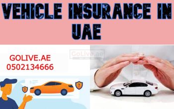 Vehicle Insurance in UAE