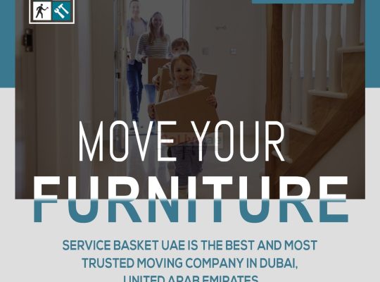 Service Basket UAE Villa Movers in JVT